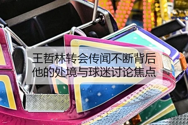 王哲林转会传闻不断背后 他的处境与球迷讨论焦点